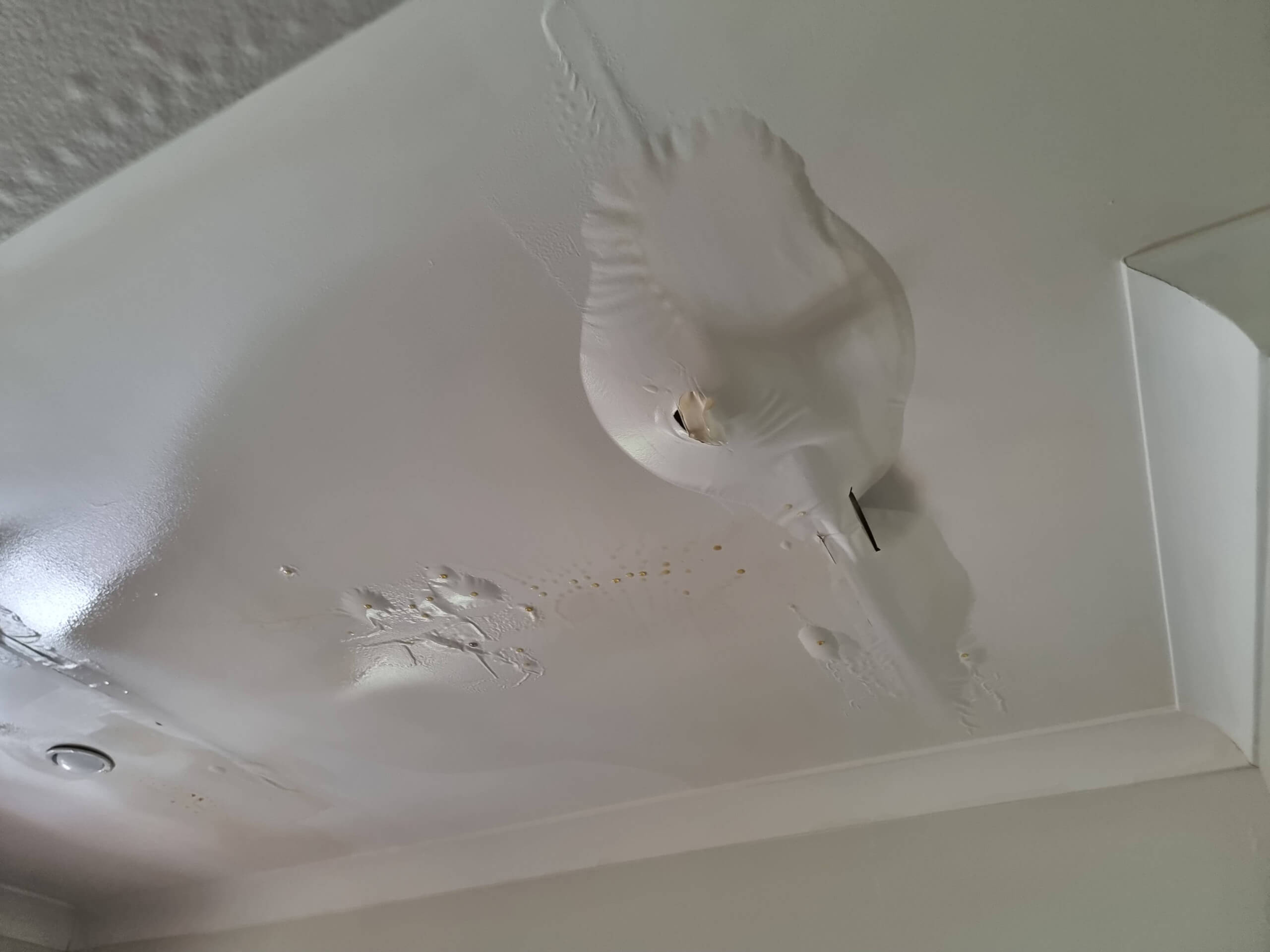 The cost of not fixing water damage